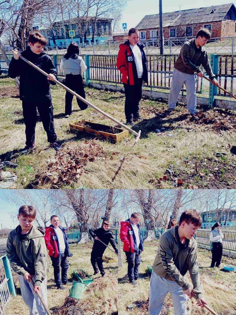 Трудовое воспитание.
